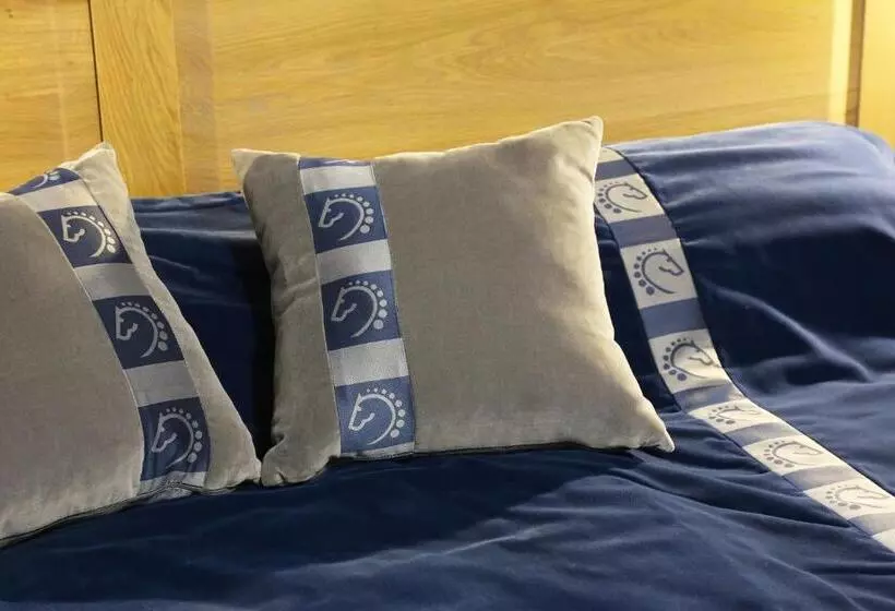 スタンダードルーム, Hédervári Lovas Vendégház