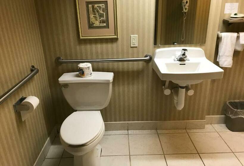 キングサイズベッドのデラックスルーム, Lititz Inn And Suites