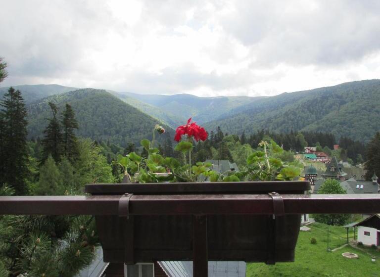 스탠다드 전망 룸, Marea Neagra