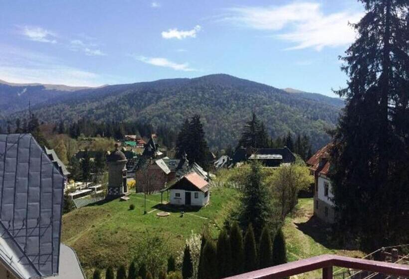 스탠다드 전망 룸, Marea Neagra