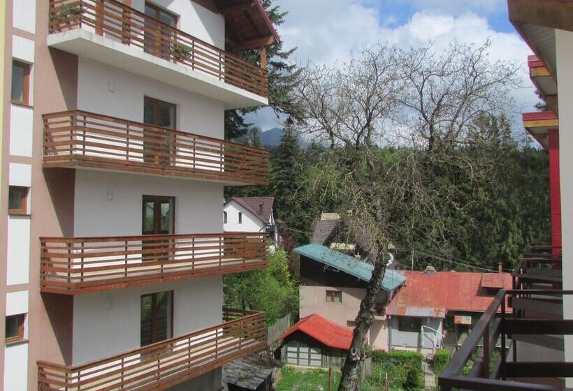 스탠다드 룸, Marea Neagra