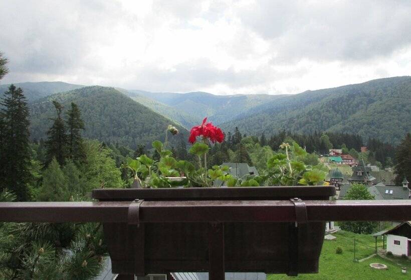 스탠다드 룸 산 전망, Marea Neagra