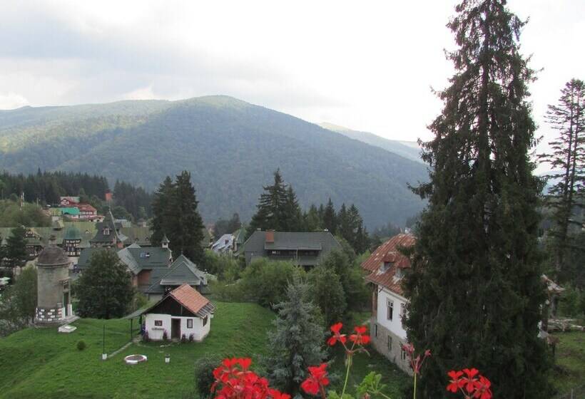 스탠다드 룸 산 전망, Marea Neagra