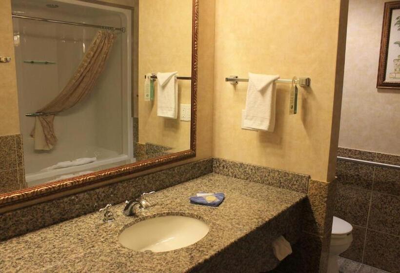 패밀리 스위트, Rushmore Express Keystone