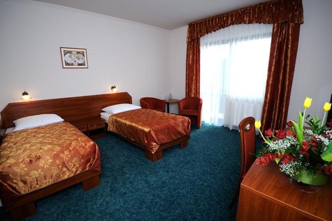 Quarto Superior, Salamandra