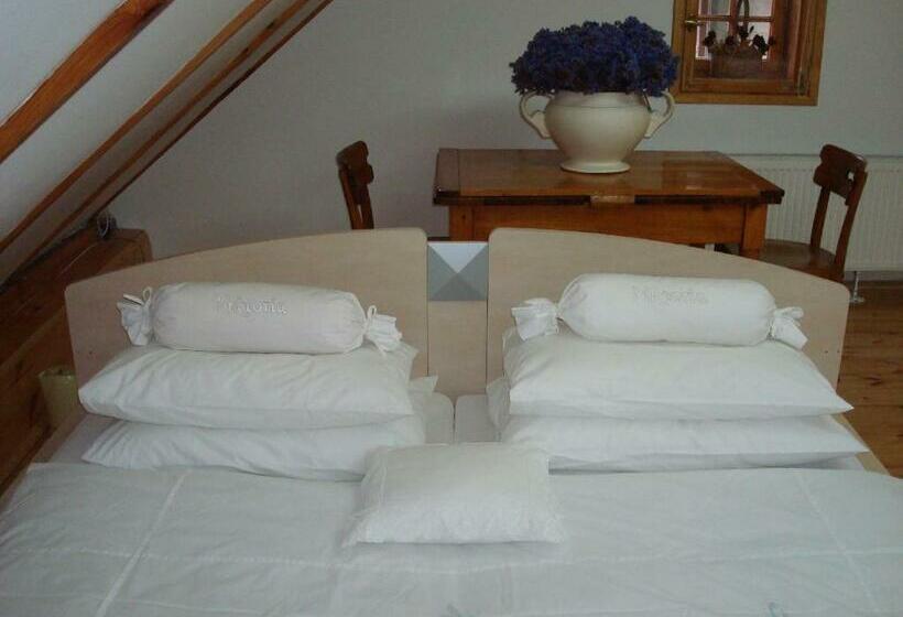 اتاق استاندارد, Willa Viktoria