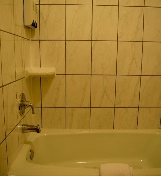 带大床的标准间, Snelling Motel