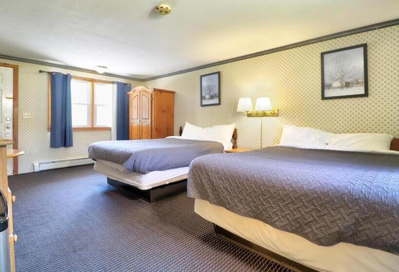 Номер Deluxe, The Villager Motel