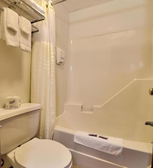 Номер Deluxe, The Villager Motel