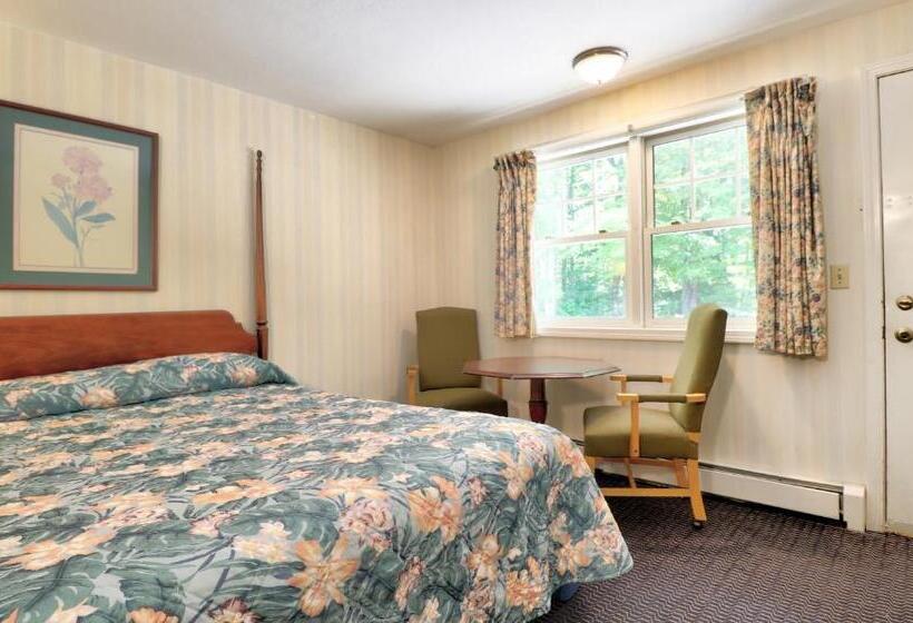 Номер Deluxe, The Villager Motel