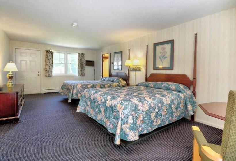 Номер Deluxe, The Villager Motel