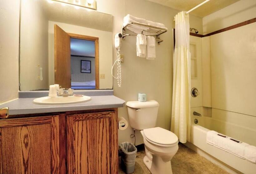 Номер Deluxe, The Villager Motel