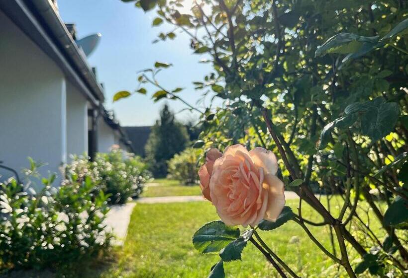غرفة قياسية مزوَّدة بتراس, Landhotel Rosenhof Am Plauer See Garni Mit E Säule