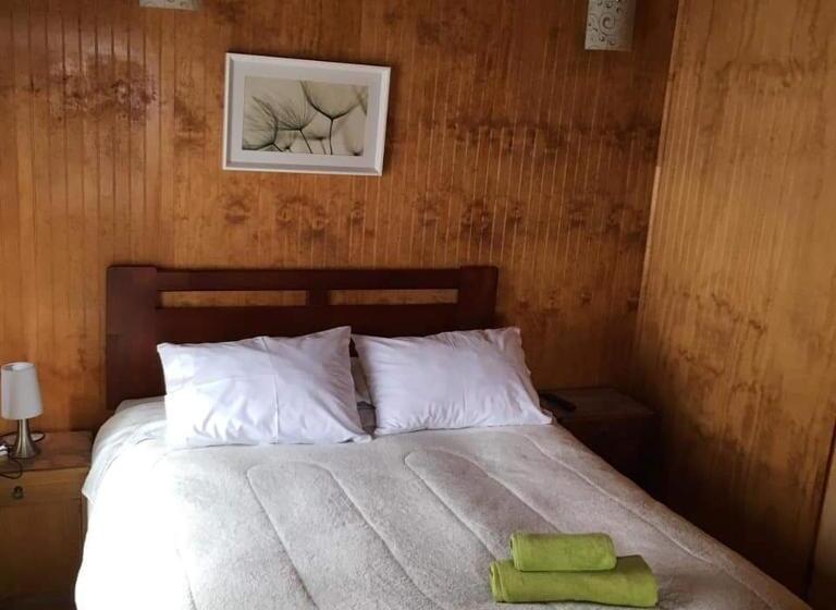 اتاق استاندارد با سرویس بهداشتی مشترک, Hostal Aire Patagon