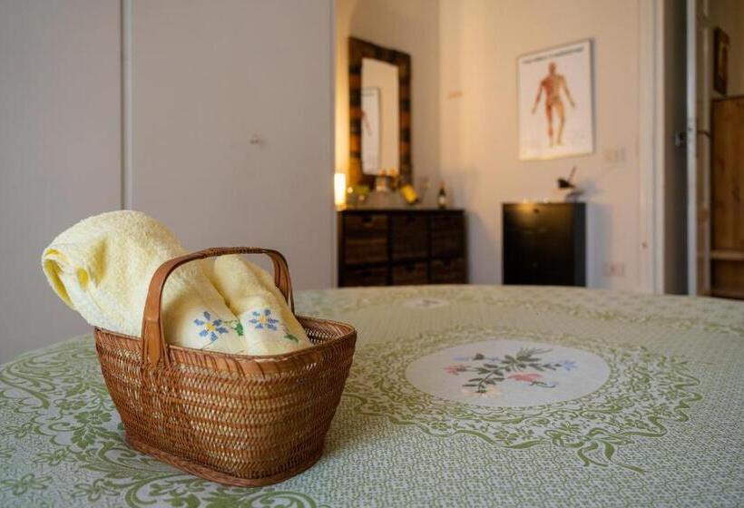 اتاق استاندارد, Ohana