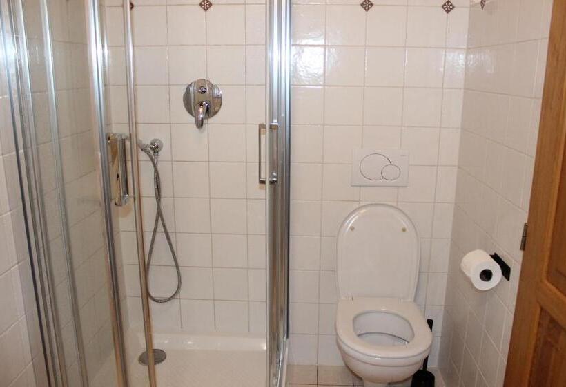 غرفة قياسية, Penzion Za Plotem