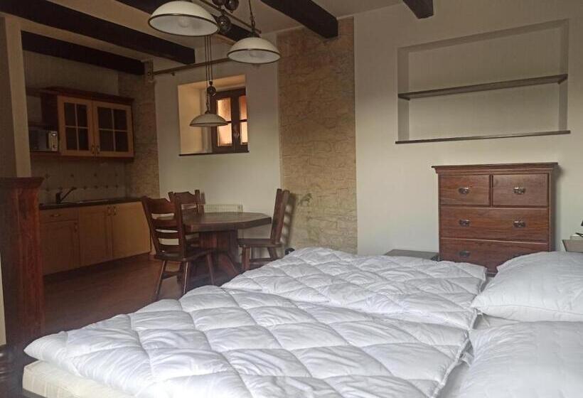 غرفة قياسية, Penzion Za Plotem