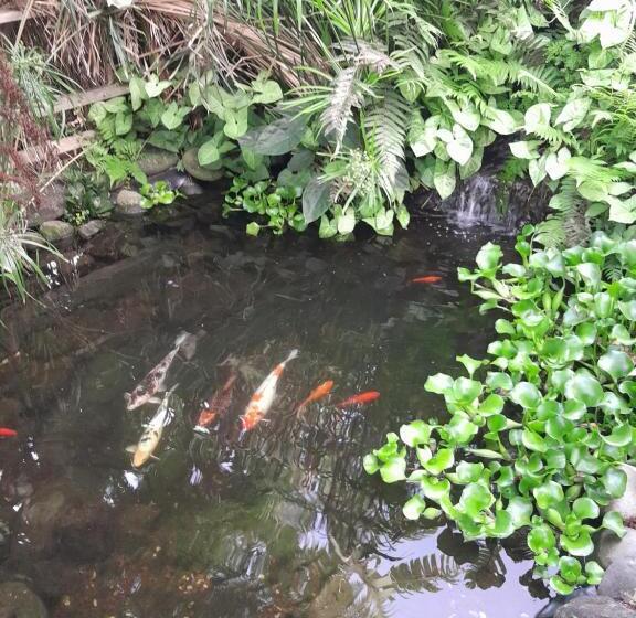 بنگله خانوادگی, Chalet De Lise