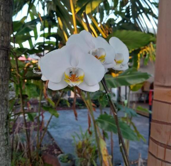 بنگله خانوادگی, Chalet De Lise