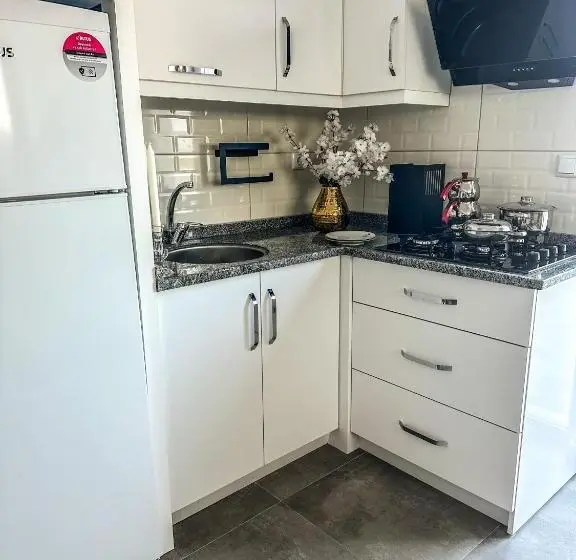 Standard-huone Terassi, Gölhi̇sar Mavi̇ Konak Apart Otel