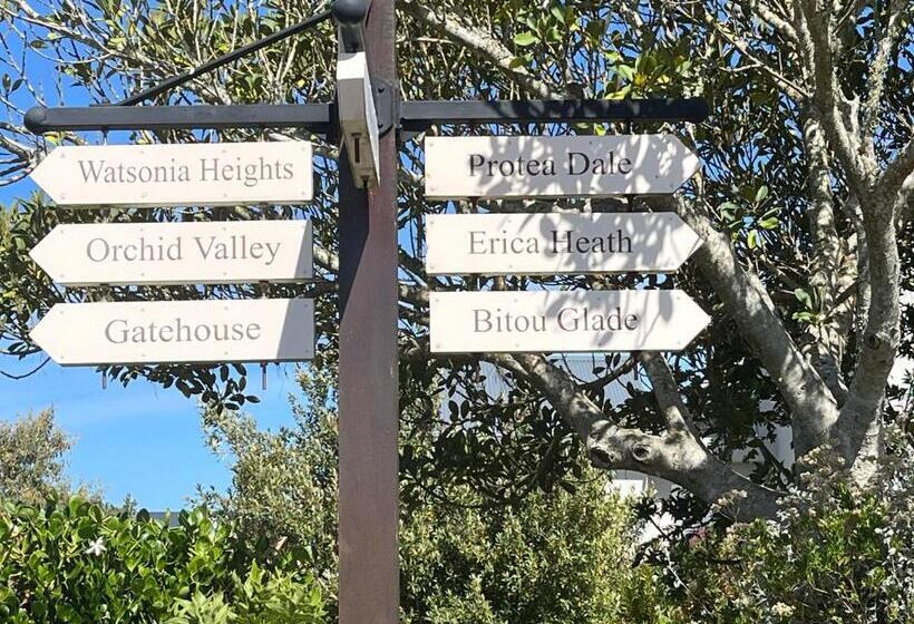 ガーデンビュースタンダードルーム, The Lily Suite