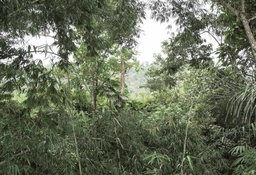 חדר דלוקס, Sri Sedana Guest House