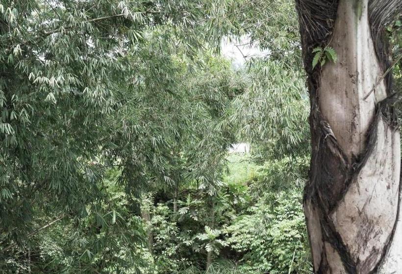 חדר דלוקס, Sri Sedana Guest House