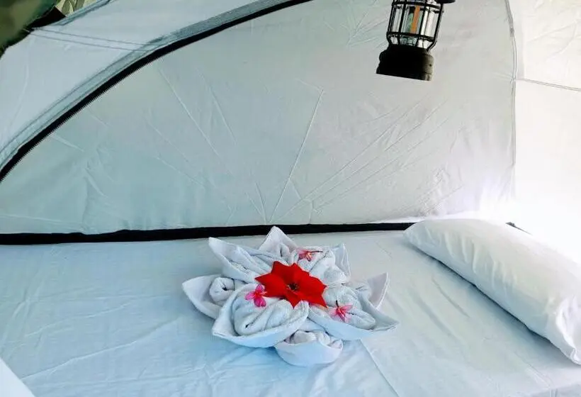 Standard Tent, Jenna S Beach House