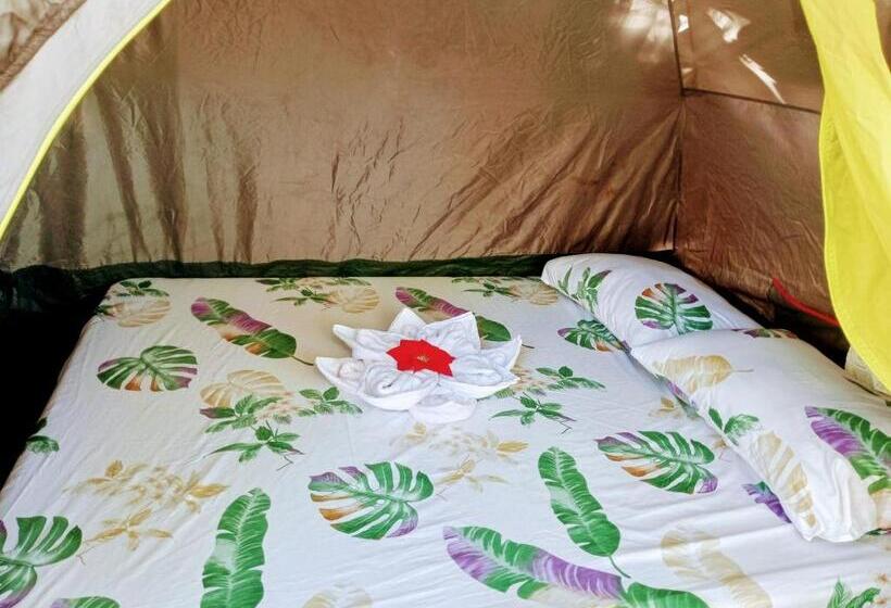 چادر با خدمات رفاهی استاندارد, Jenna S Beach House