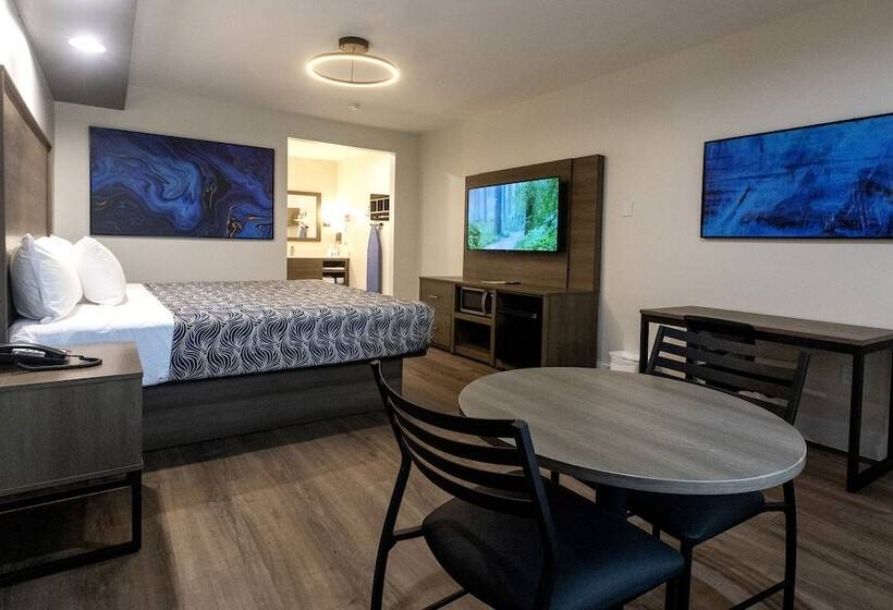 スタンダードルーム, Palace Inn Blue Edgebrook