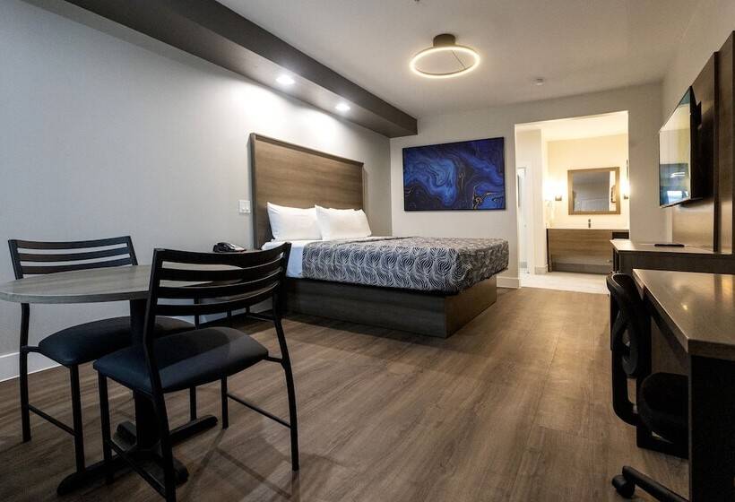 スタンダードルーム, Palace Inn Blue Edgebrook