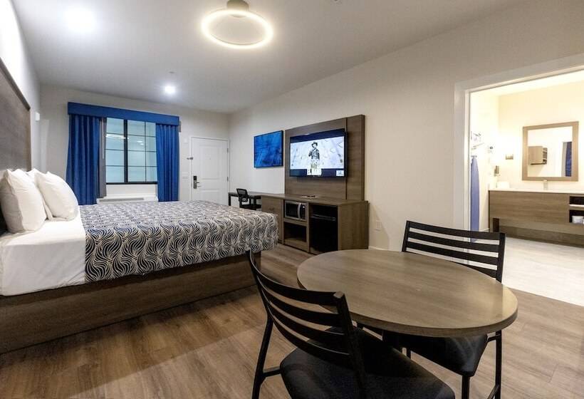 デラックスルーム, Palace Inn Blue Edgebrook