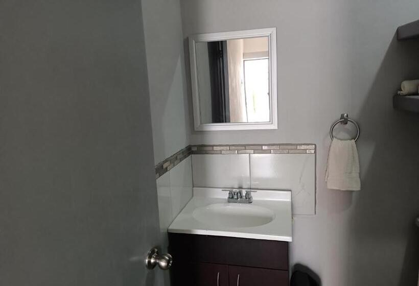 غرفة قياسية مطلّة علي البحر, Whale Tours And Sport Fishing Vista Mag Bay