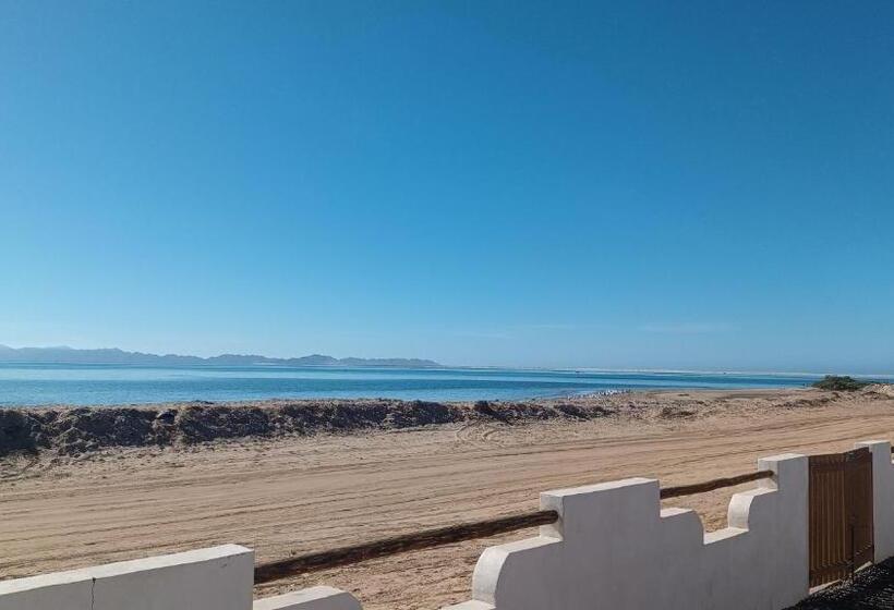 غرفة قياسية مطلّة علي البحر, Whale Tours And Sport Fishing Vista Mag Bay