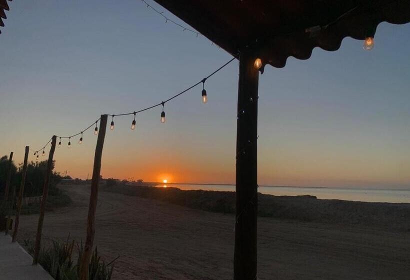 غرفة ديلوكس, Whale Tours And Sport Fishing Vista Mag Bay