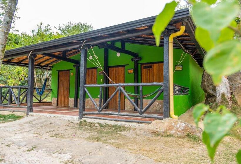 غرفة قياسية ثلاثية مزودة بتراس, Campestre San Marcos Gw