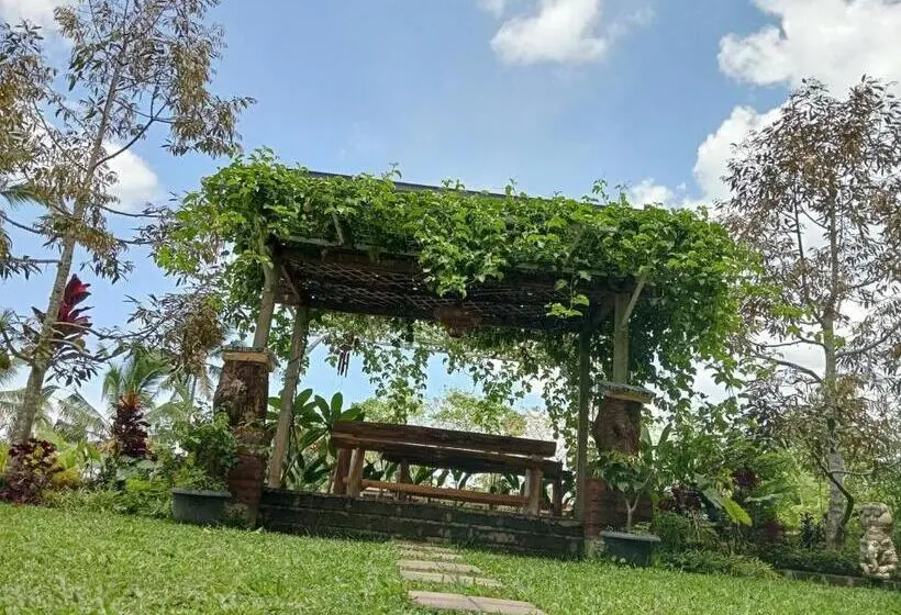 デラックスルーム, Sekumpul Bali Hidden Space