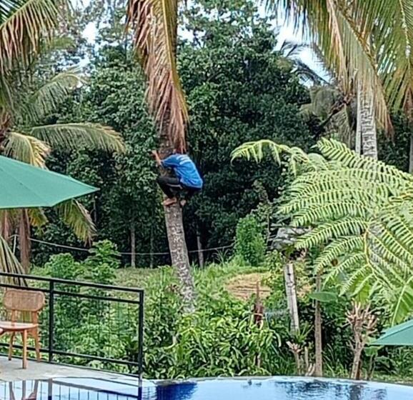 Pokój Deluxe, Sekumpul Bali Hidden Space