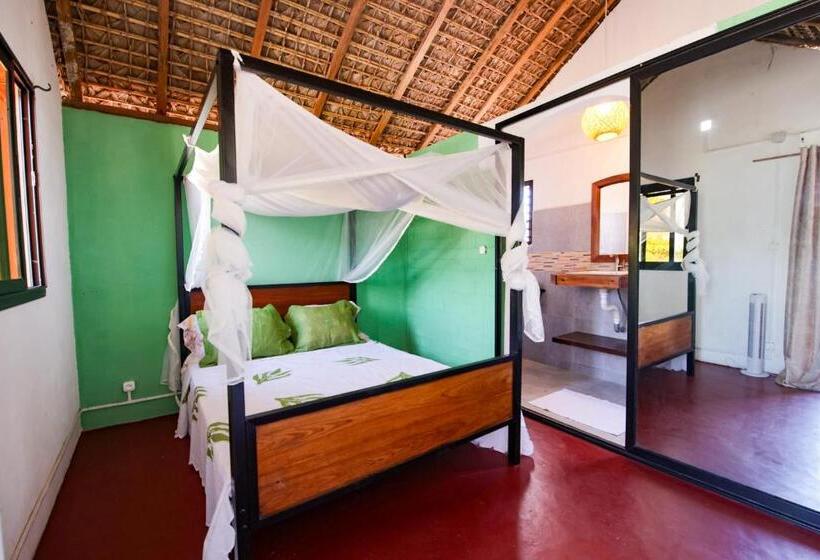 بانگلوی استاندارد, Le Jardin Des Délices