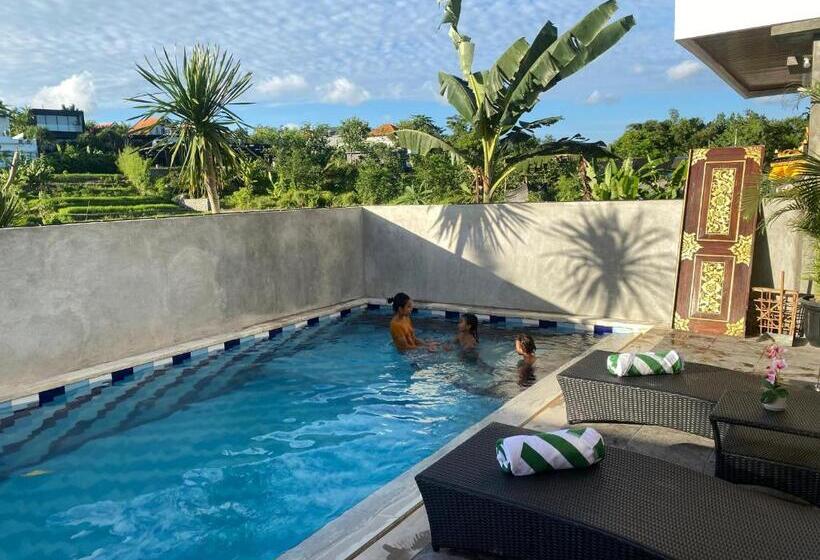 דירת חדר, Misi Guesthouse