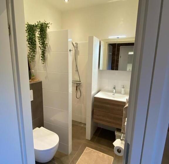 标准间, Noflik Heerenveen