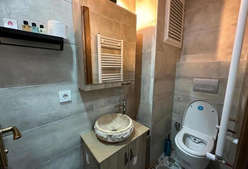 חדר סטנדרט נוף לגינה, İli̇a Buti̇k Otel