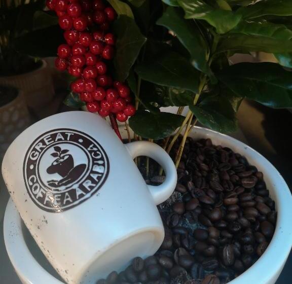 اتاق استاندارد با بالکن, Evergreen