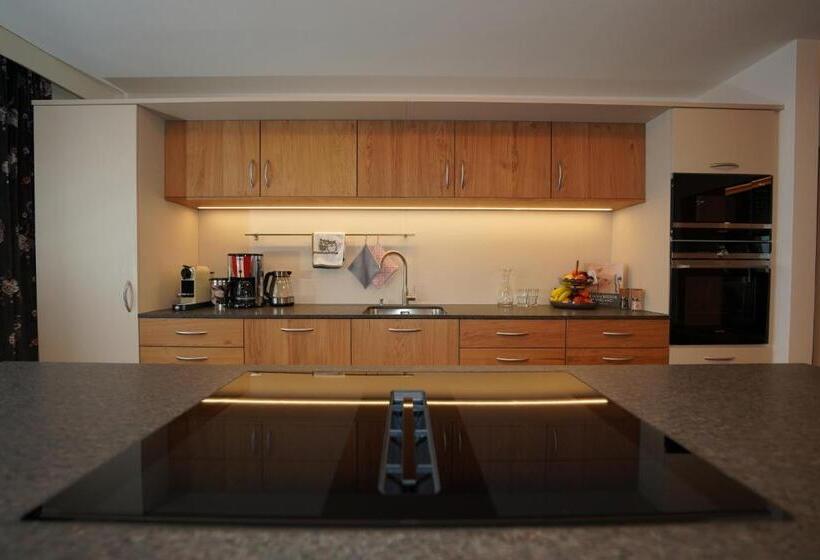 带1个卧室的高级公寓, Astergut Boutique Apartment