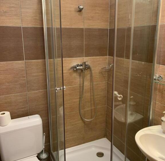 غرفة قياسية ثلاثية, City Hotel Agoston