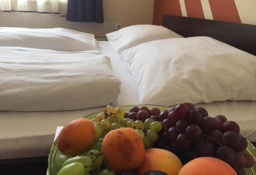 标准三人间, City Hotel Agoston