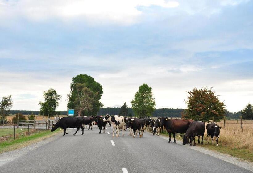 Standard Tent, Appleby House & Rabbit Island Huts