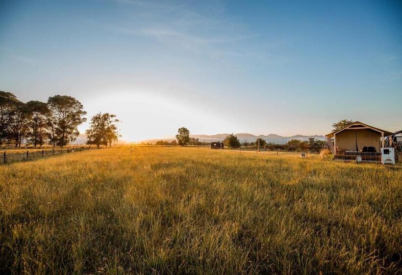 Standard Tent, Appleby House & Rabbit Island Huts