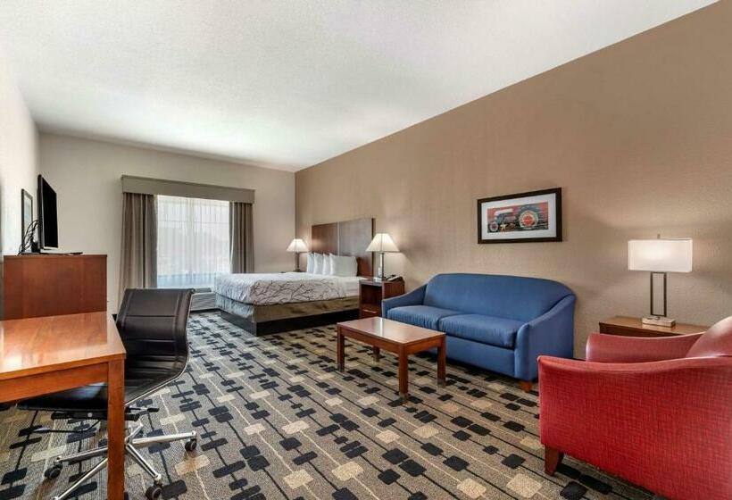 غرفة قياسية سرير كينج لذوى الإحتياجات الخاصة, Best Western Plus Big Lake Inn
