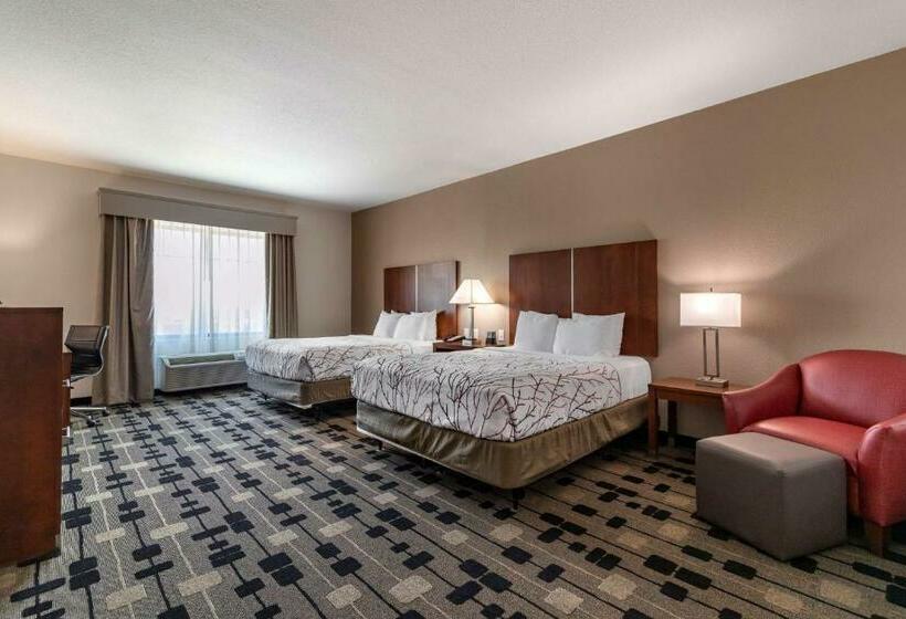 غرفة قياسية لذوى الاحتياجات الخاصة, Best Western Plus Big Lake Inn